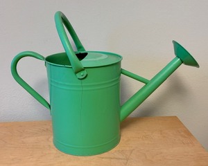 lot 76 image: Panacer 2 Gallon Watering Can