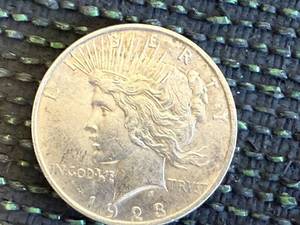 lot 14 image: 1923 Peace Dollar