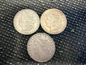 3 - 1921 Morgan Dollars