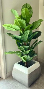 lot 34 image: Silk Large Leaf Philodendron Plant