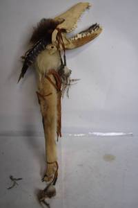 lot 157 image: Unique Taxidermy Coyote Head Walking Stick with Feathers