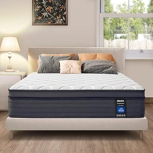 Mattress Memory Foam Hybrid Mattress with Motion Isolation and Pressure Relief, Strong Edge Support, Pocket Spring Full Size Mattress in a Box (10 Inch, Full)