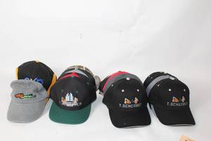 lot 388 image: Collection of 18 Logo-Branded Baseball Caps