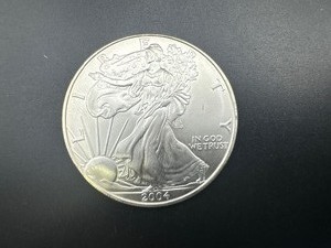 lot 49 image: 2004 Silver American Eagle