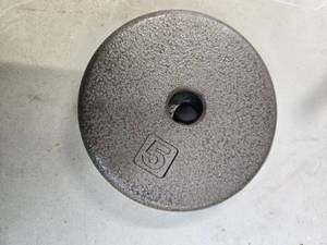 Lot of two 5 LB One-Inch Weight Plates(USED)