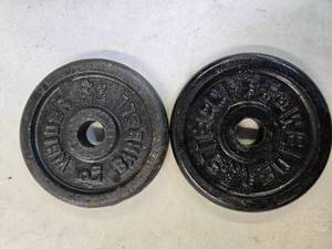 lot 6 image: Lot of two 5 LB One-Inch Weight Plates(USED)