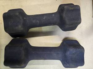 lot 12 image: Lot of a pair of 9LB Dumbbells (USED)