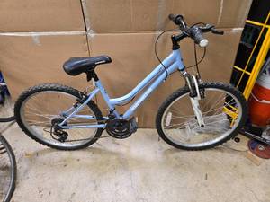 lot 22 image: 24 Road Master Mountain Bike (Good Condition)