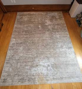 lot 54 image: Beige Blush Area Rug from Dynamic Rugs  710 x 1010, as