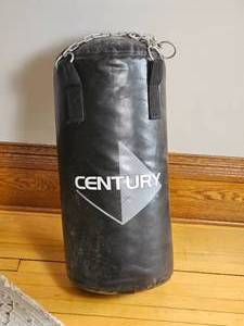 lot 143 image: 45 lbs. Vinyl Century Punching Bag