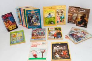 lot 23 image: Lot of 20 Childrens Chapter Books  Classics & Favorites
