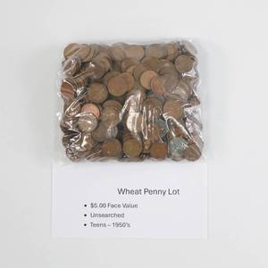 lot 46 image: Wheat Penny Lot - $5 Face Value - Unsearched