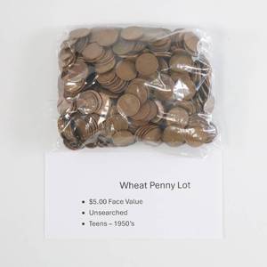 lot 44 image: Wheat Penny Lot - $5 Face Value - Unsearched
