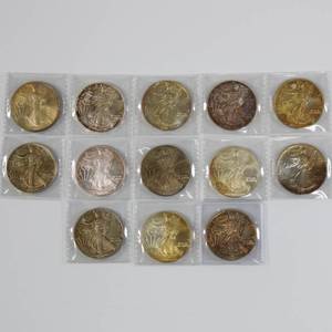 lot 33 image: American Silver Eagle Lot of 13