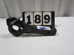lot 189 image: Reese 2 Pinto Style Insert