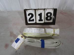 lot 218 image: Straps - qty 2