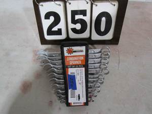 lot 250 image: Artesia Tool 22 pc Combination Wrench Set