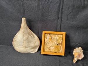 lot 150 image: Decorative Set Ceramic Leaf Vase, Framed Autumn Leaf Artwork, and Conch Shell
