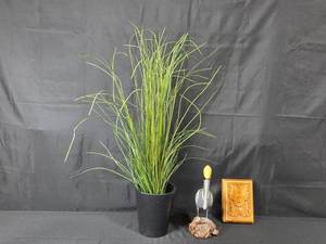 lot 188 image: Handcrafted Wooden Wall Art, Artificial Grass Plant, and Painted Pelican Figurine Set
