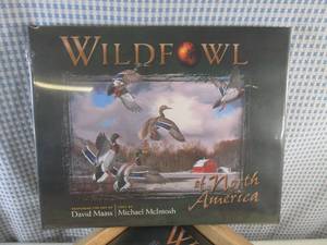 lot 95 image: (CS) Box of 8 New Wildfowl of North...