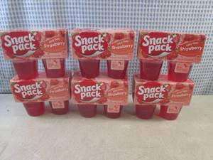 lot 161 image: (B-3) 6 - 4-Cup Packs Snack Pack St...