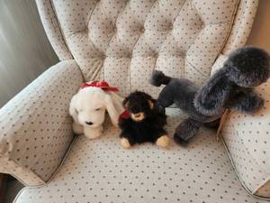 lot 34 image: Set of 3 Realistic Plush Dog Toys