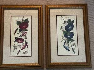 lot 64 image: Pair of Paragon Gallery Framed Morning Glory Floral Prints