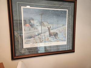 lot 157 image: 1991 Halloween Mega Storm Framed Print by Les C Kouba