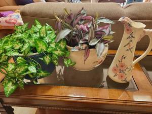 lot 267 image: Indoor Plant Pair with Ceramic Pitcher