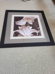 lot 269 image: Elegant Framed Floral Art Print