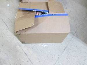 lot 55 image: box of dog clothes...