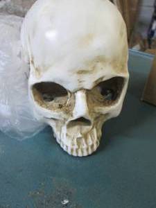lot 107 image: skull...