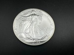lot 19 image: 2022 BU 1 oz Silver Eagle, Lower Mintage Year