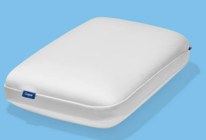 lot 233 image: StandardQueen Casper Essential Cooling Foam Pillow