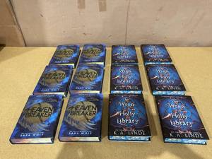 lot 161 image: LOT OF 12 Chapter Books