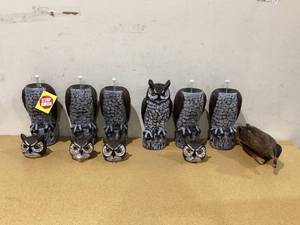lot 644 image: LOT OF 6  Fake Owl Decoy Owl Bird Deterrent  1 Duck