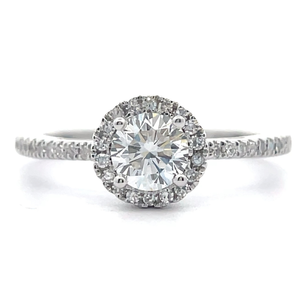 lot 11 image: NEW 0.75 Carat Diamond Halo Basket Cathedral Ring in 14k White Gold VIDEO