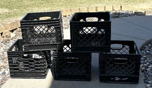 lot 181 image: Five Plastic Crates
