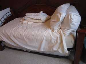 lot 14 image: Day Bed With Trundle