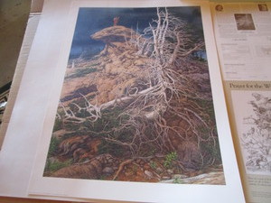 lot 129 image: Bev Doolittle Prayer For The Wild Things Print