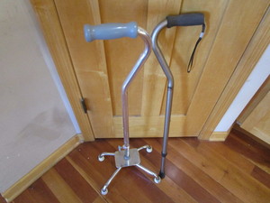 lot 177 image: Canes