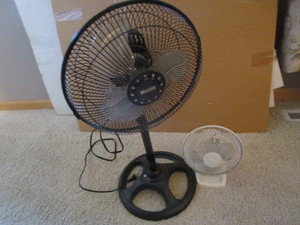 lot 198 image: Fans