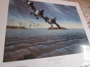 lot 201 image: Kouba Bluebills Visit Indian Point Print