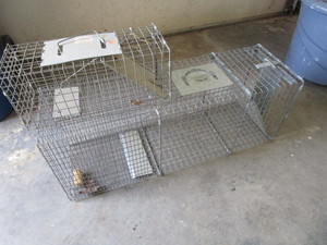 lot 347 image: Live Traps