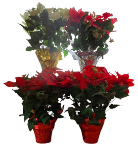 lot 82 image: Festive Faux Poinsettia Collection