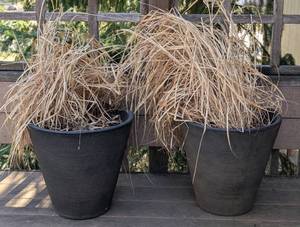 lot 97 image: Pair of Resin Planters