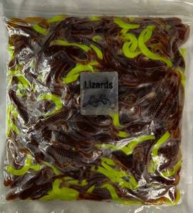 lot 45 image: 100 Approx 6 Berkley Powerbait Lizard Pumpkin Seed chartiusse