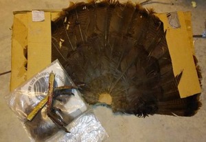 lot 522 image: Turkey Fan Mount.
