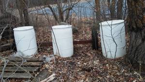 lot 812 image: 50 gal Barrels (3).
