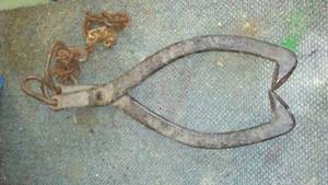lot 950 image: Vintage Ice tongs,